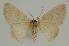  ( - BC EF Alc 00839)  @13 [ ] Copyright (2010) Unspecified Research Collection of Egbert Friedrich