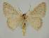  ( - BC EF Alc 00844)  @13 [ ] Copyright (2010) Unspecified Research Collection of Egbert Friedrich