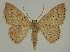  ( - BC EF Alc 00847)  @14 [ ] Copyright (2010) Unspecified Research Collection of Egbert Friedrich