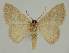  ( - BC EF Alc 00847)  @13 [ ] Copyright (2010) Unspecified Research Collection of Egbert Friedrich