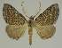  ( - BC EF Alc 00848)  @15 [ ] Copyright (2010) Unspecified Research Collection of Egbert Friedrich