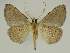  ( - BC EF Alc 00848)  @13 [ ] Copyright (2010) Unspecified Research Collection of Egbert Friedrich