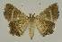  ( - BC EF Alc 00860)  @13 [ ] Copyright (2010) Unspecified Research Collection of Egbert Friedrich