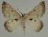  ( - BC EF Alc 00866)  @13 [ ] Copyright (2010) Unspecified Research Collection of Egbert Friedrich