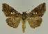  ( - BC EF Alc 00869)  @14 [ ] Copyright (2010) Unspecified Research Collection of Egbert Friedrich
