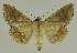 ( - BC EF Alc 00869)  @13 [ ] Copyright (2010) Unspecified Research Collection of Egbert Friedrich