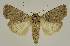  ( - BC EF Alc 00870)  @14 [ ] Copyright (2010) Unspecified Research Collection of Egbert Friedrich
