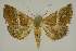  ( - BC EF Alc 00875)  @13 [ ] Copyright (2010) Unspecified Research Collection of Egbert Friedrich