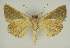  ( - BC EF Alc 00875)  @12 [ ] Copyright (2010) Unspecified Research Collection of Egbert Friedrich