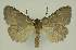  ( - BC EF Alc 00879)  @12 [ ] Copyright (2010) Unspecified Research Collection of Egbert Friedrich