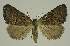  ( - BC EF Alc 00882)  @13 [ ] Copyright (2010) Unspecified Research Collection of Egbert Friedrich