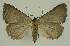  ( - BC EF Alc 00882)  @12 [ ] Copyright (2010) Unspecified Research Collection of Egbert Friedrich
