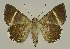 ( - BC EF Alc 00892)  @13 [ ] Copyright (2010) Unspecified Research Collection of Egbert Friedrich