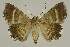  ( - BC EF Alc 00894)  @13 [ ] Copyright (2010) Unspecified Research Collection of Egbert Friedrich