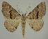  ( - BC EF Alc 00919)  @13 [ ] Copyright (2010) Unspecified Research Collection of Egbert Friedrich