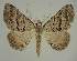  ( - BC EF Alc 00922)  @14 [ ] Copyright (2010) Unspecified Research Collection of Egbert Friedrich