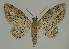  ( - BC EF Alc 00928)  @14 [ ] Copyright (2010) Unspecified Research Collection of Egbert Friedrich