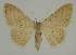  ( - BC EF Alc 00935)  @14 [ ] Copyright (2010) Unspecified Research Collection of Egbert Friedrich