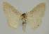  ( - BC EF Alc 00935)  @13 [ ] Copyright (2010) Unspecified Research Collection of Egbert Friedrich