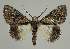  ( - BC EF Alc 00939)  @13 [ ] Copyright (2010) Unspecified Research Collection of Egbert Friedrich