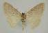  ( - BC EF Alc 00941)  @12 [ ] Copyright (2010) Unspecified Research Collection of Egbert Friedrich