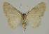  ( - BC EF Alc 00942)  @13 [ ] Copyright (2010) Unspecified Research Collection of Egbert Friedrich