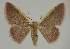  ( - BC EF Alc 00943)  @14 [ ] Copyright (2010) Unspecified Research Collection of Egbert Friedrich