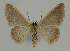  ( - BC EF Alc 00943)  @13 [ ] Copyright (2010) Unspecified Research Collection of Egbert Friedrich