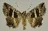  ( - BC EF Alc 00949)  @14 [ ] Copyright (2010) Unspecified Research Collection of Egbert Friedrich