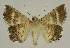  ( - BC EF Alc 00949)  @13 [ ] Copyright (2010) Unspecified Research Collection of Egbert Friedrich