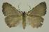  ( - BC EF Alc 00957)  @13 [ ] Copyright (2010) Unspecified Research Collection of Egbert Friedrich