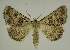  ( - BC EF Alc 01161)  @14 [ ] Copyright (2010) Unspecified Research Collection of Egbert Friedrich