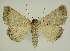  ( - BC EF Alc 01161)  @12 [ ] Copyright (2010) Unspecified Research Collection of Egbert Friedrich