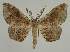  ( - BC EF Alc 01172)  @14 [ ] Copyright (2010) Unspecified Research Collection of Egbert Friedrich
