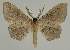  ( - BC EF Alc 01172)  @13 [ ] Copyright (2010) Unspecified Research Collection of Egbert Friedrich
