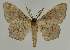  ( - BC EF Alc 01173)  @14 [ ] Copyright (2010) Unspecified Research Collection of Egbert Friedrich