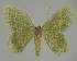  ( - BC EF Alc 01179)  @13 [ ] Copyright (2010) Unspecified Research Collection of Egbert Friedrich