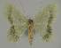  ( - BC EF Alc 01179)  @12 [ ] Copyright (2010) Unspecified Research Collection of Egbert Friedrich