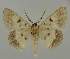  ( - BC EF Alc 01181)  @13 [ ] Copyright (2010) Unspecified Research Collection of Egbert Friedrich