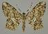  ( - BC EF Alc 01186)  @11 [ ] Copyright (2010) Unspecified Research Collection of Egbert Friedrich