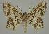  ( - BC EF Alc 01186)  @11 [ ] Copyright (2010) Unspecified Research Collection of Egbert Friedrich