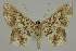  ( - BC EF Alc 01187)  @13 [ ] Copyright (2010) Unspecified Research Collection of Egbert Friedrich