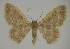  ( - BC EF Alc 01194)  @11 [ ] Copyright (2010) Unspecified Research Collection of Egbert Friedrich