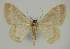  ( - BC EF Alc 01194)  @11 [ ] Copyright (2010) Unspecified Research Collection of Egbert Friedrich