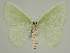  ( - BC EF Alc 01198)  @13 [ ] Copyright (2010) Unspecified Research Collection of Egbert Friedrich