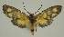  ( - BC EF Alc 01216)  @14 [ ] Copyright (2010) Unspecified Research Collection of Egbert Friedrich