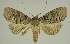  ( - BC EF Alc 01218)  @14 [ ] Copyright (2010) Unspecified Research Collection of Egbert Friedrich