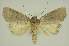  ( - BC EF Alc 01218)  @13 [ ] Copyright (2010) Unspecified Research Collection of Egbert Friedrich
