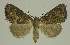  ( - BC EF Alc 01220)  @13 [ ] Copyright (2010) Unspecified Research Collection of Egbert Friedrich