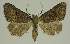  ( - BC EF Alc 01235)  @13 [ ] Copyright (2010) Unspecified Research Collection of Egbert Friedrich